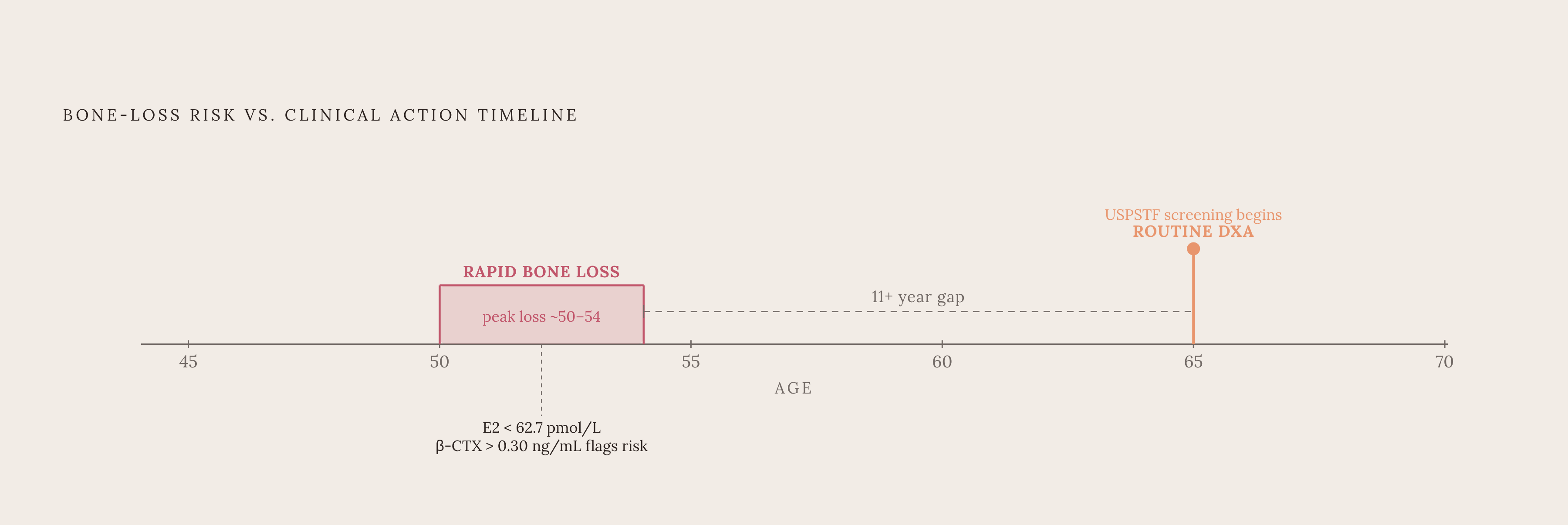 Diagram: The DXA Gap: Screening Starts a Decade Too Late. Visualizes: Show a simple timeline of a woman's bone-health risk against the ages at which clinical action is currently triggered.