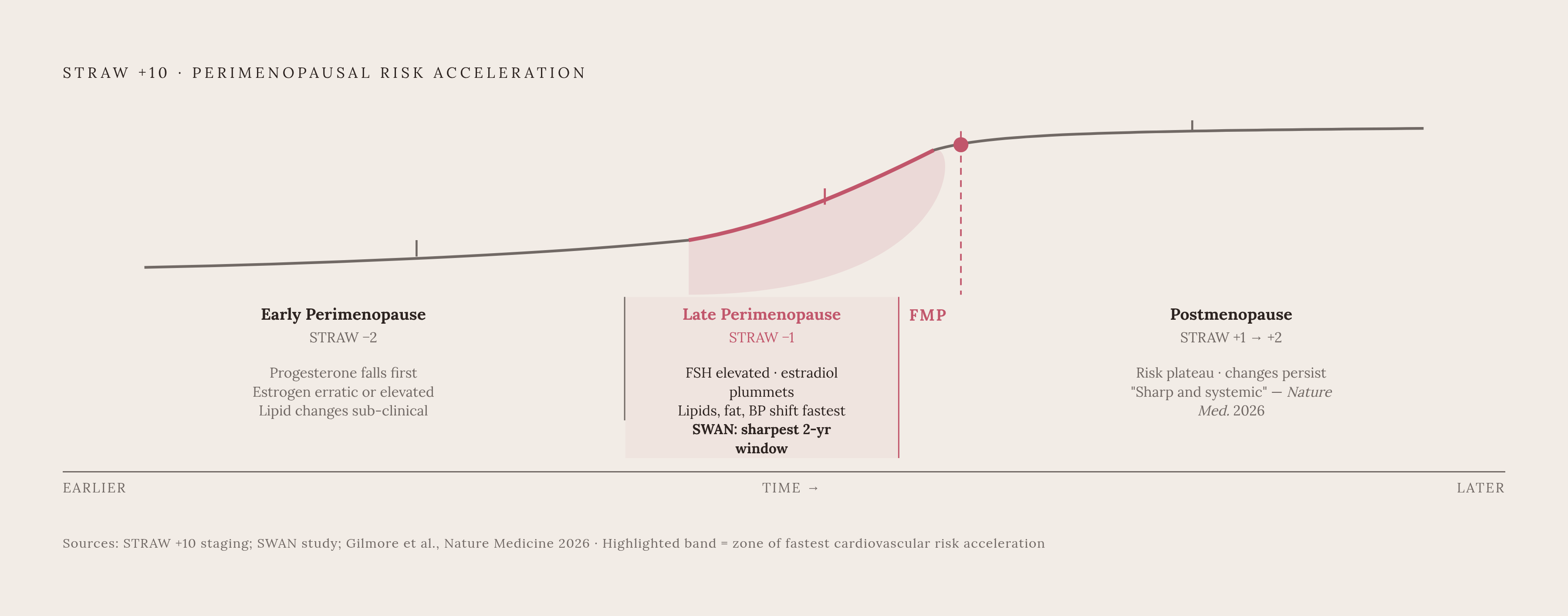 Diagram: When Cardiovascular Risk Accelerates Across the Transition. Visualizes: Show the STRAW+10 perimenopausal stages as a left-to-right sequence anchored on the Final Menstrual Period (FMP), with two named stages before it: Early Perimenopause…