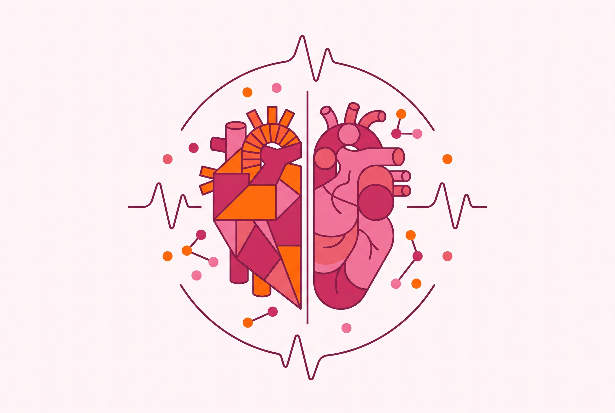 Cover illustration for “Sex Differences in Cardiovascular Disease Research”