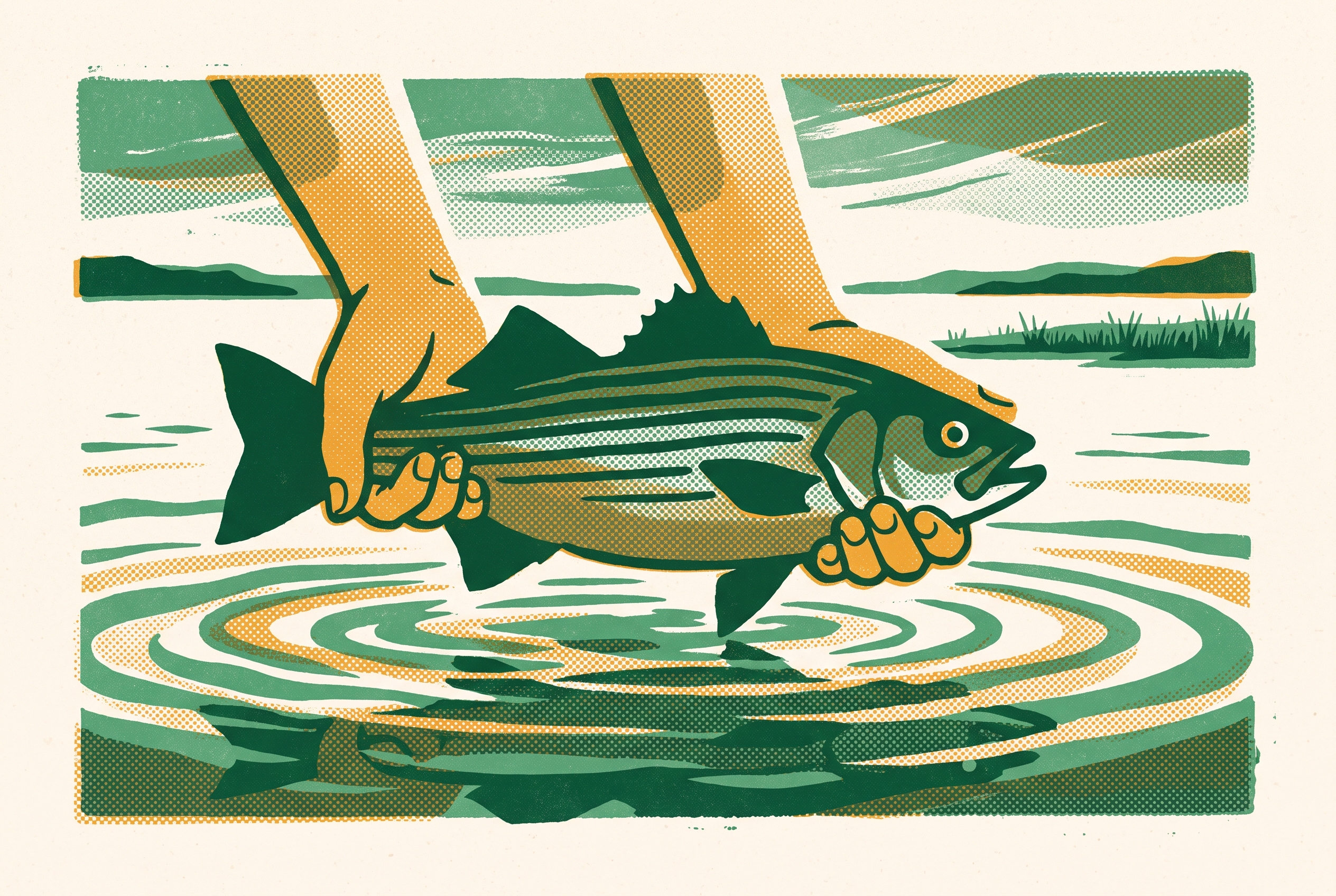 Cover illustration for “Chesapeake Bay Rockfish Catch-and-Release Best Practices”