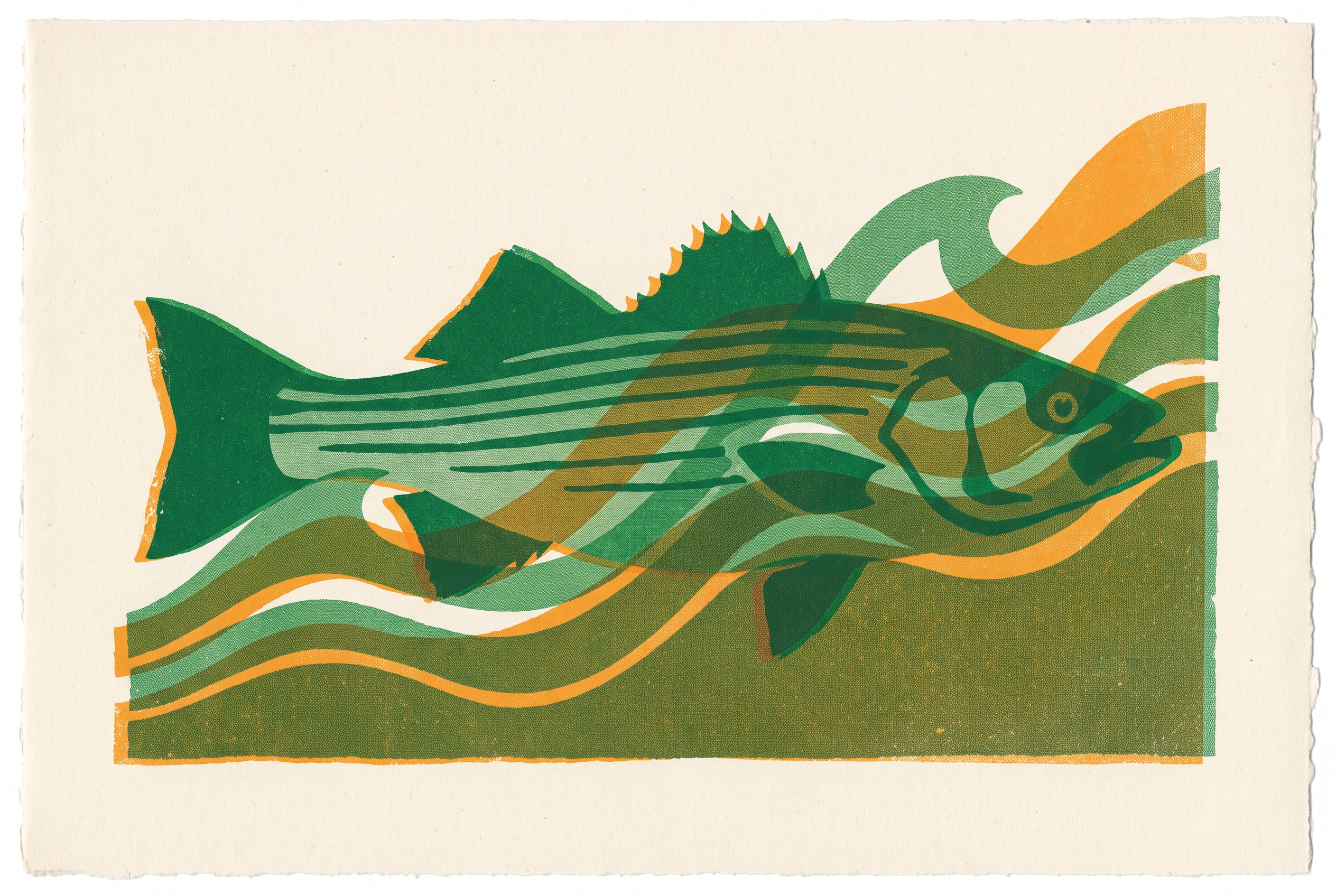 Cover illustration for “Chesapeake Bay Rockfish Population Trends and Stock Assessments”