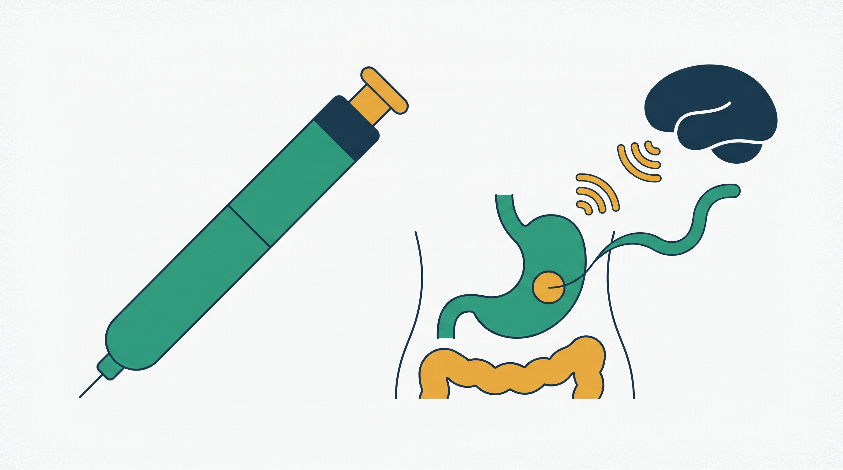 Cover illustration for “Nausea Mechanisms in Injectable GLP-1 Therapy”