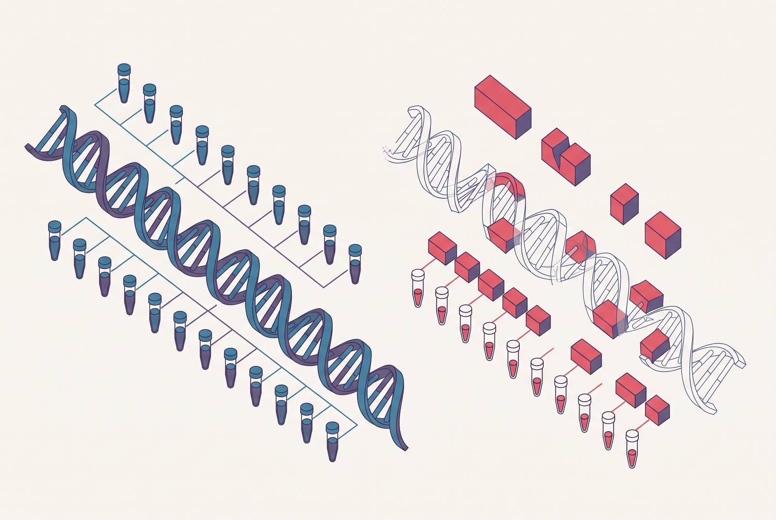 Cover illustration for “Whole-Genome Sequencing vs Exome Sequencing for Healthy Adults”