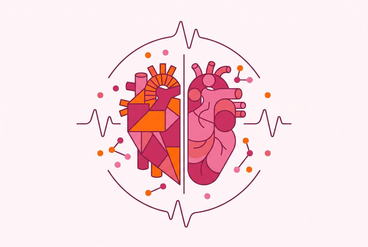 Cover illustration for “Sex Differences in Cardiovascular Disease Research”