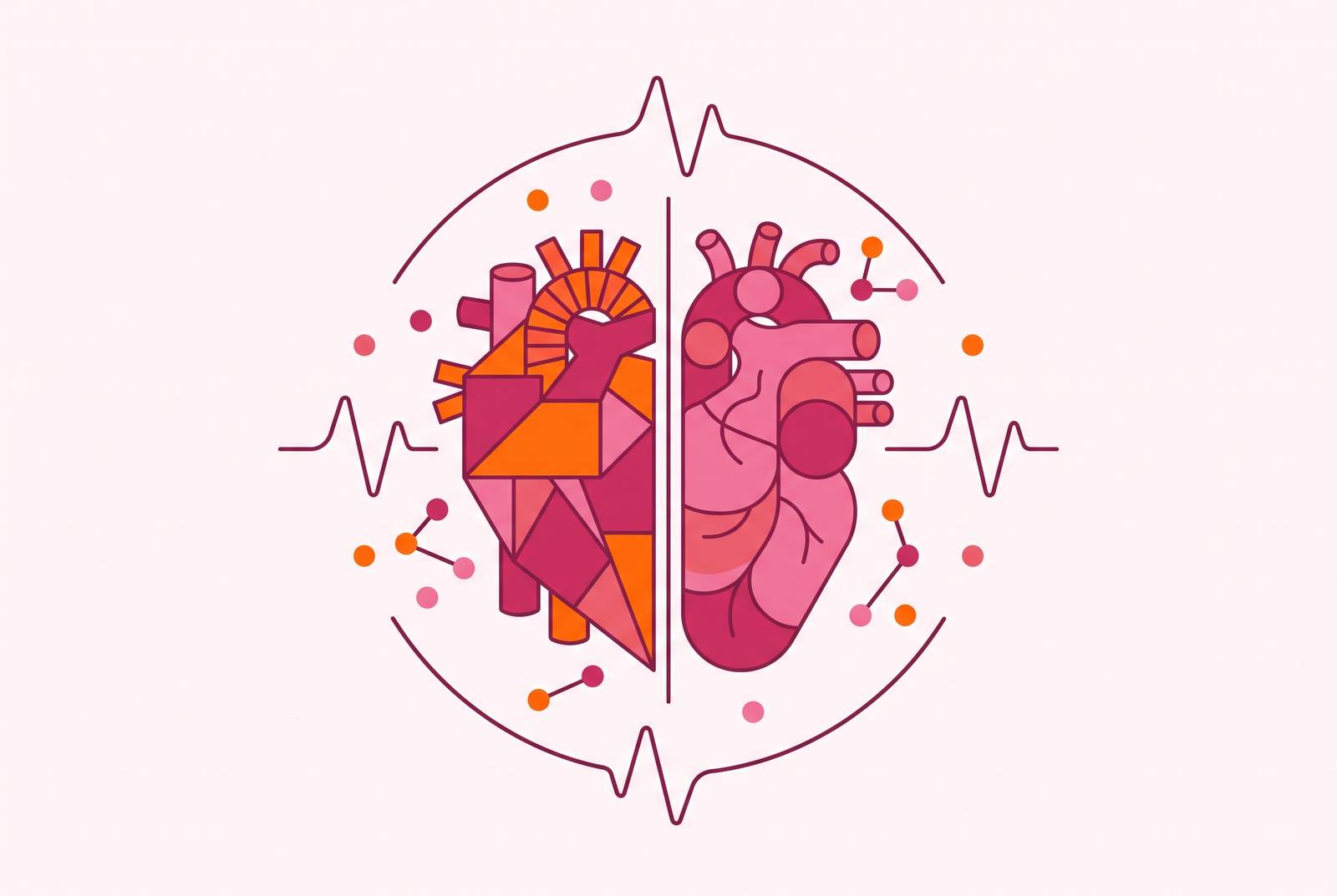 Cover illustration for “Sex Differences in Cardiovascular Disease Research”