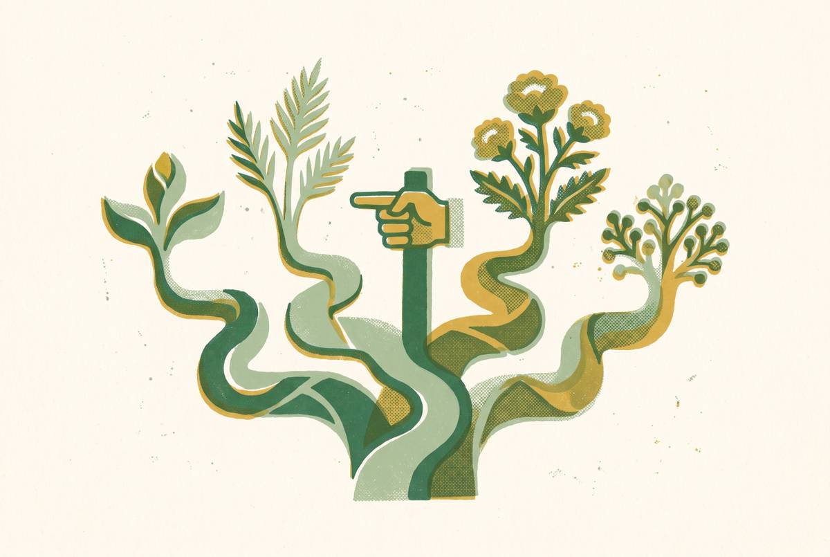 Cover illustration for “How to Choose the Right Green Marketing Strategy”
