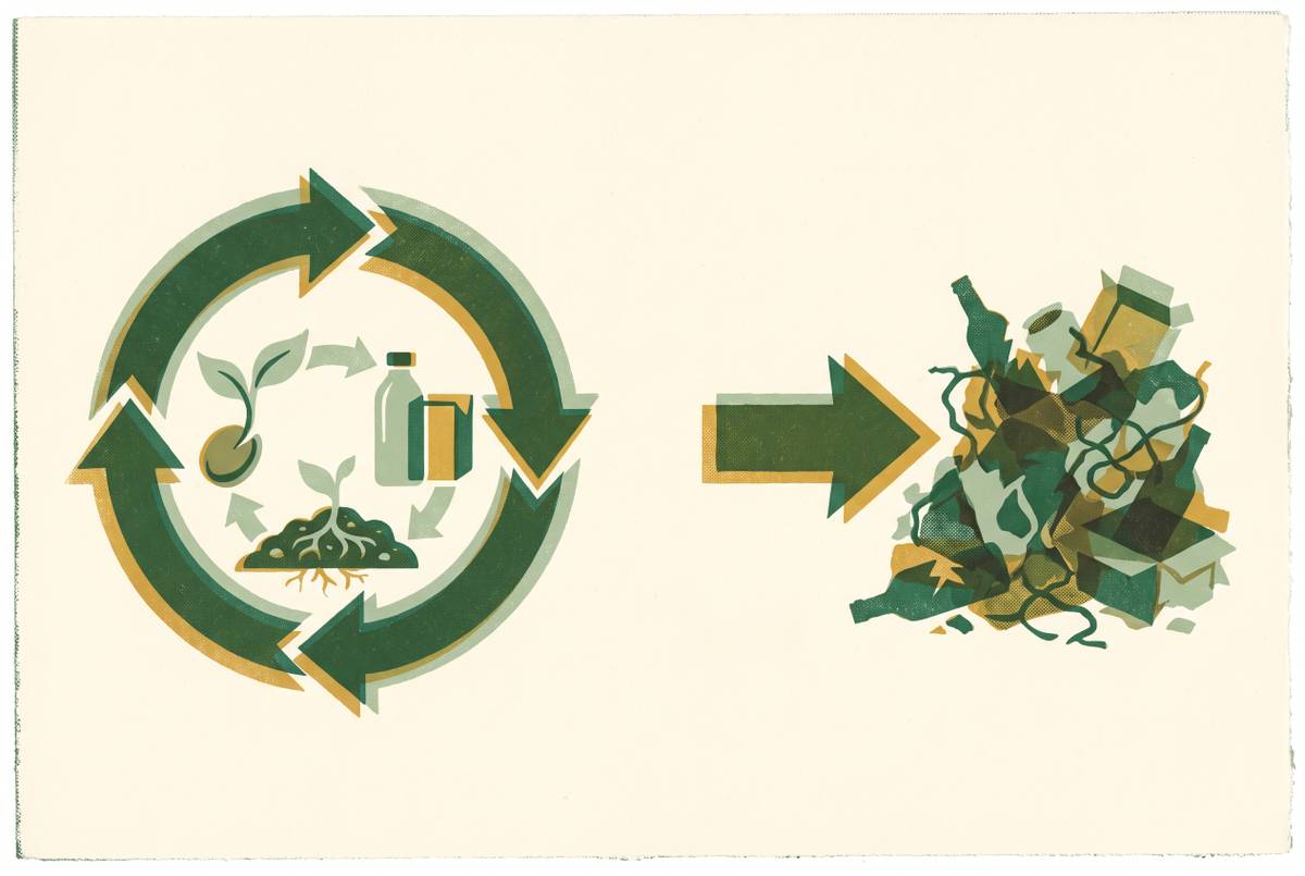 Cover illustration for “Cradle to Cradle vs Cradle to Grave Design”