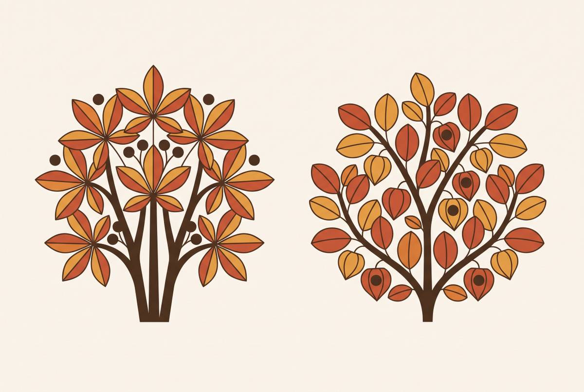 Cover illustration for “Eleuthero vs Ashwagandha for Stress Adaptation”