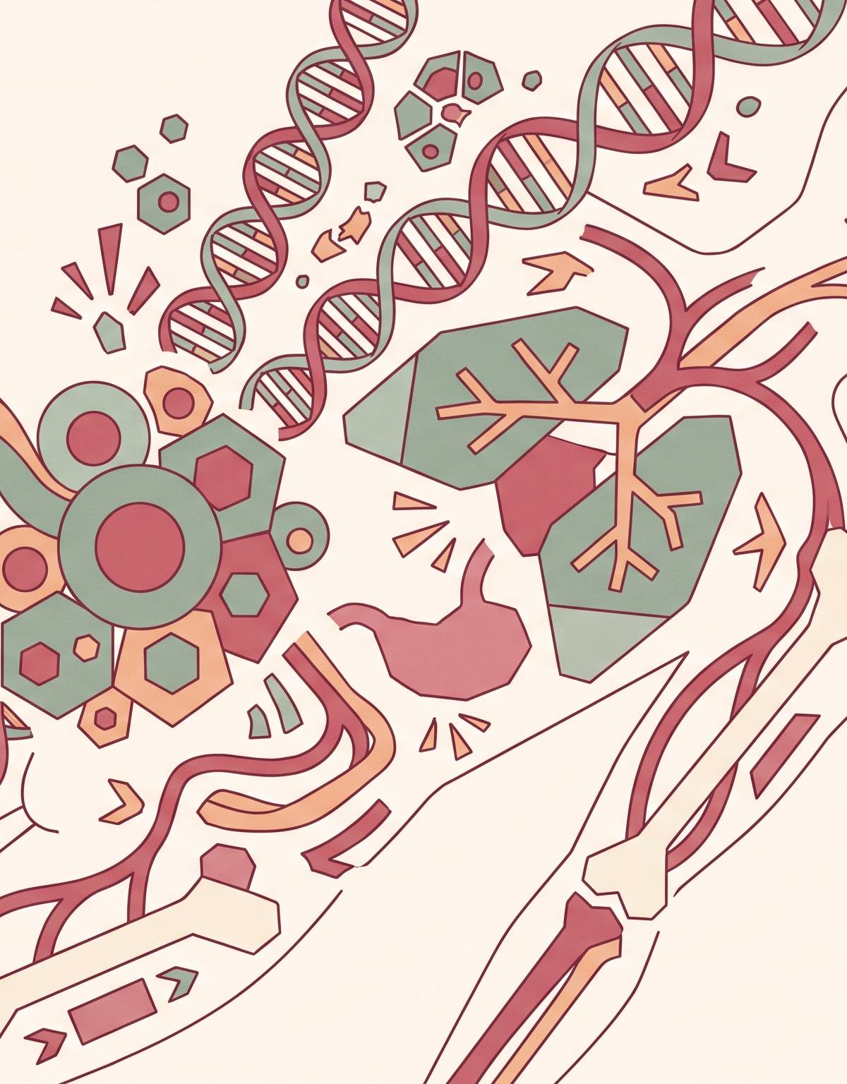 Cover illustration for “What Diseases Are Treated With Cord Blood Stem Cell Transplants”