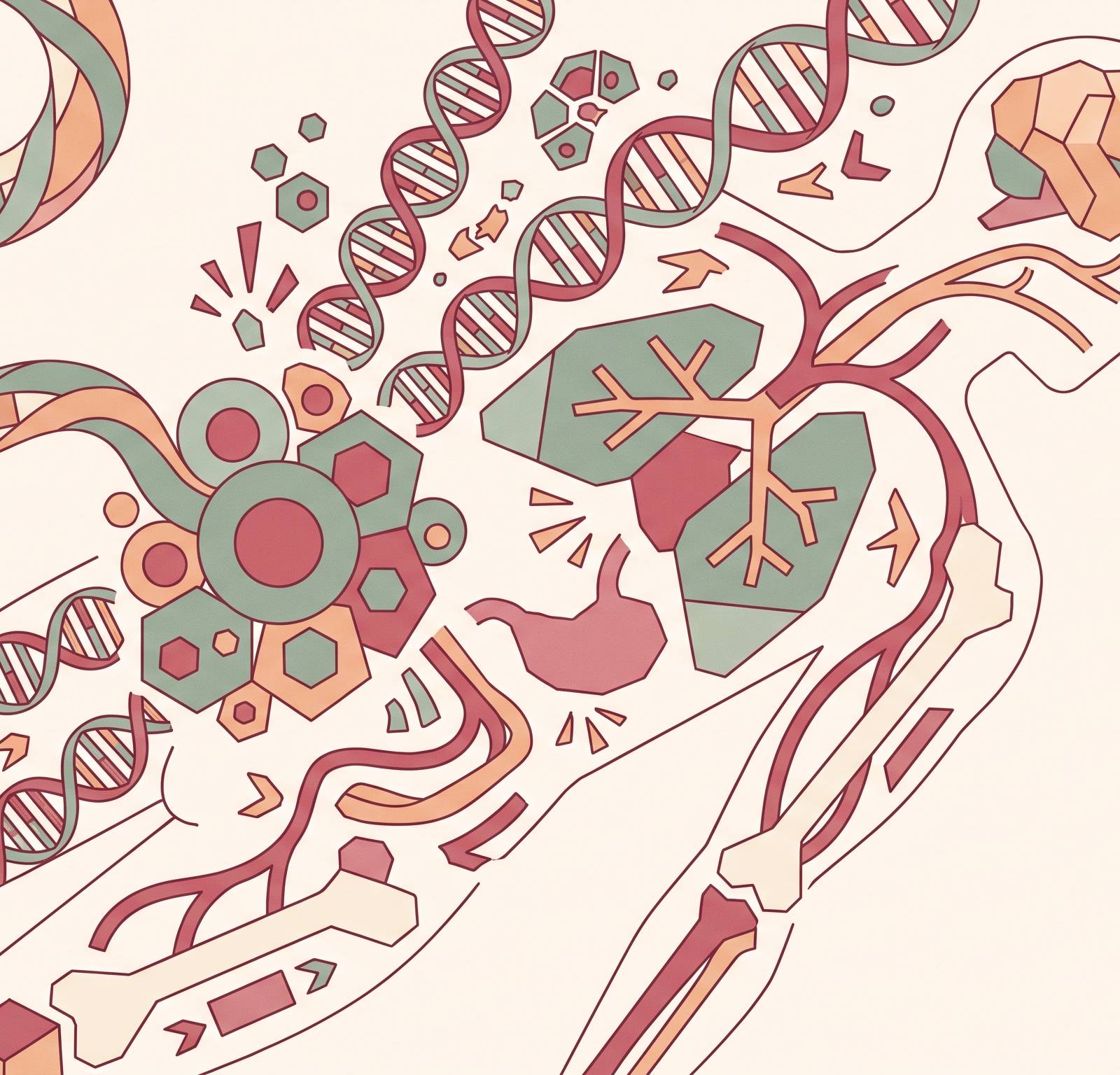 Cover illustration for “What Diseases Are Treated With Cord Blood Stem Cell Transplants”