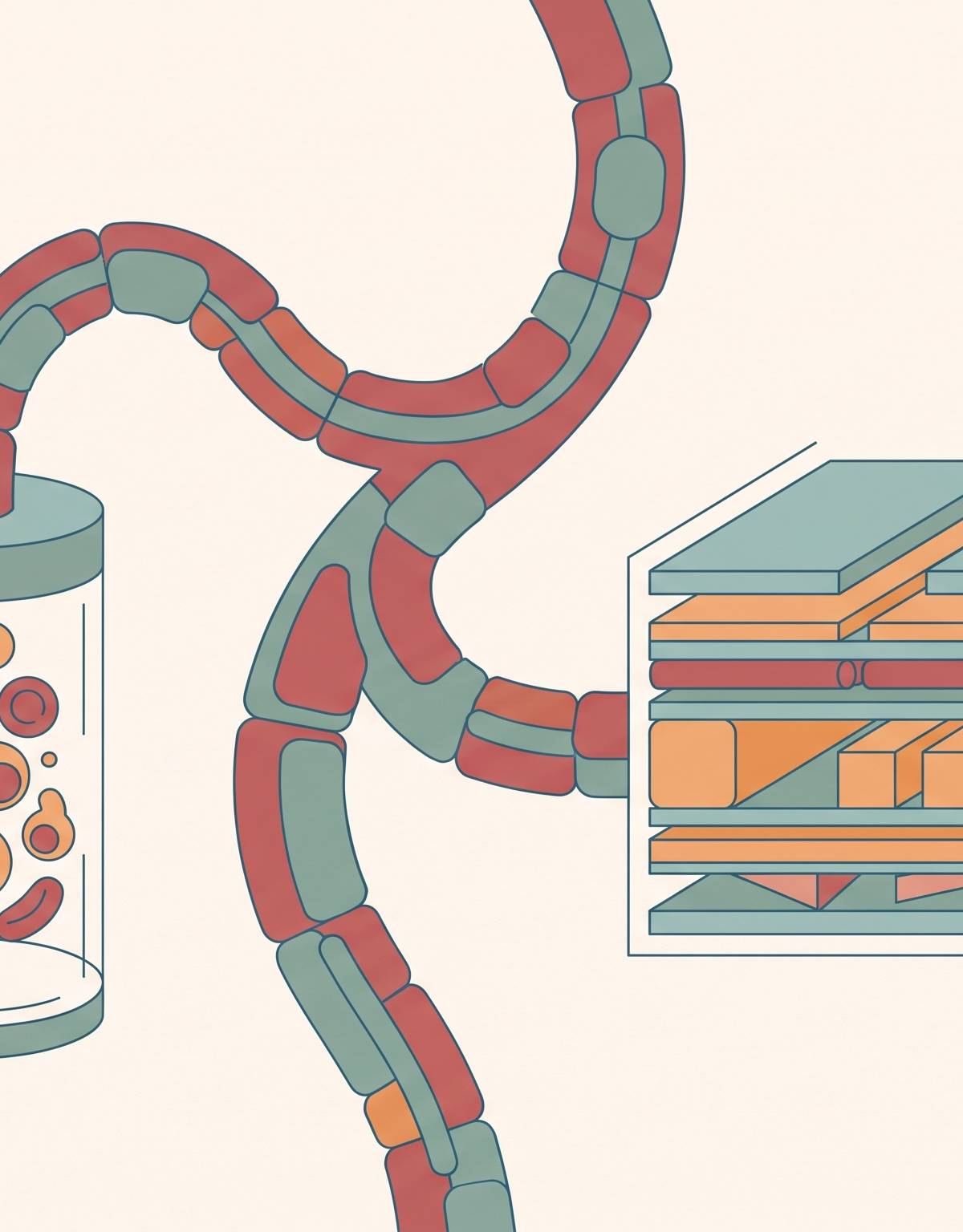 Cover illustration for “Cord Blood vs Cord Tissue Banking: What Each Actually Preserves”