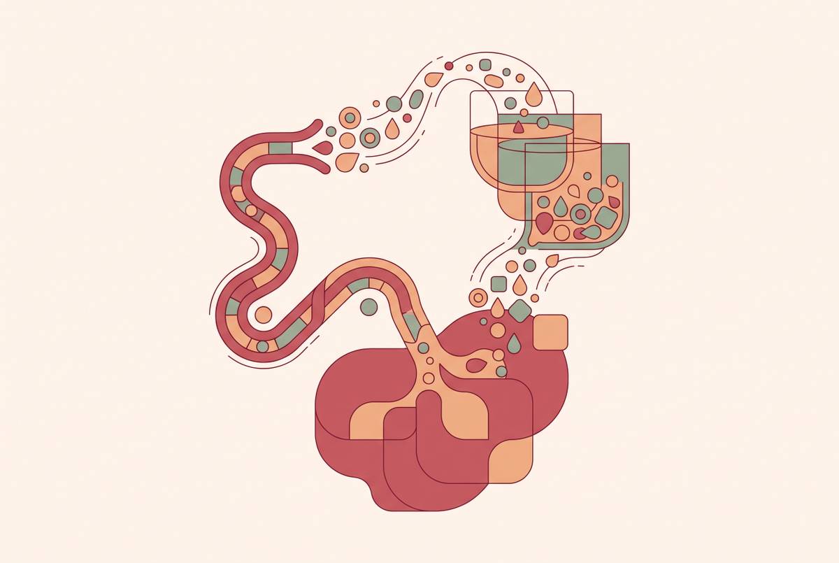 Cover illustration for “Placenta Stem Cell Harvesting Techniques and Yield Factors”