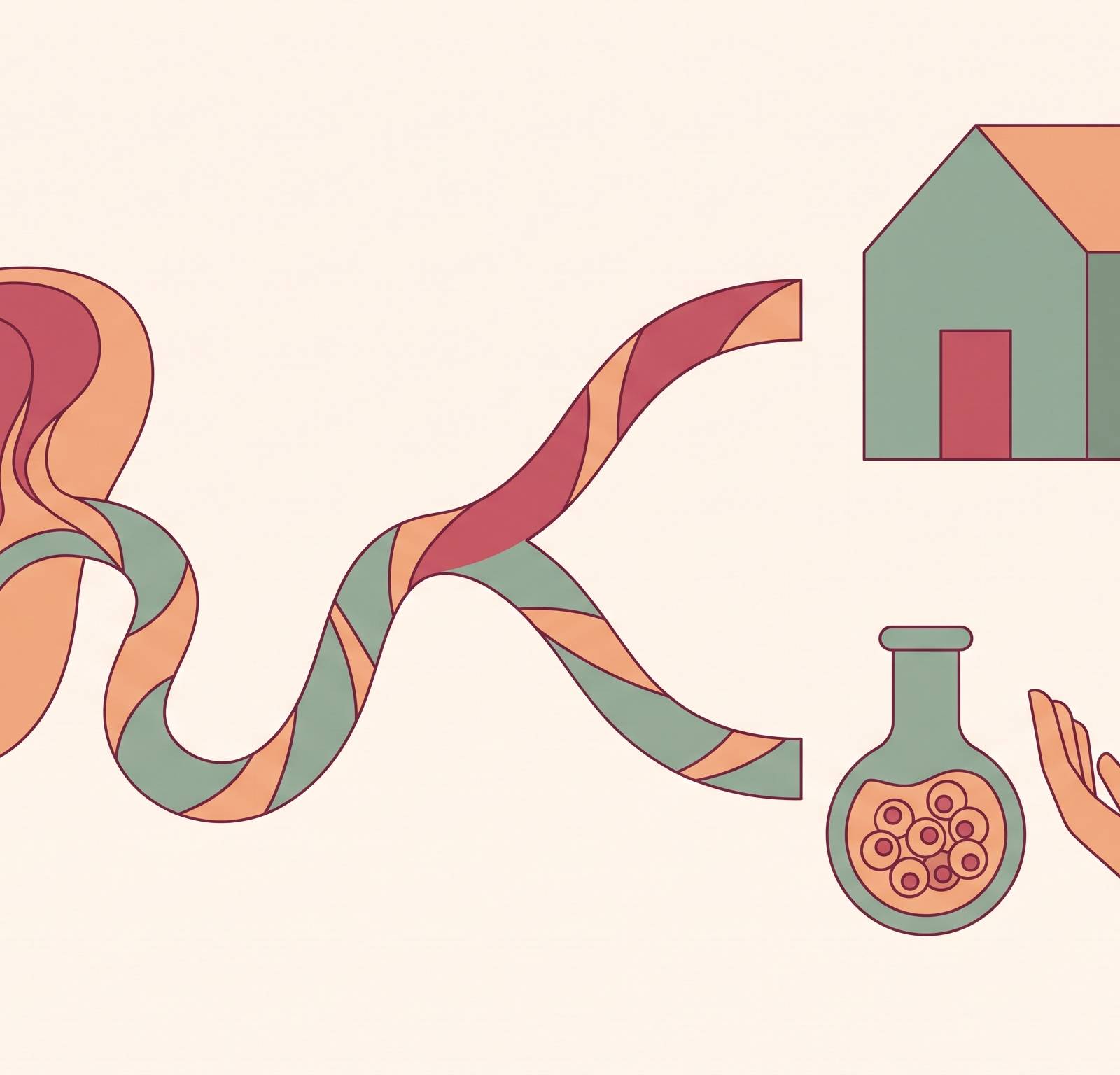 Cover illustration for “Storing Your Placenta for Your Own Family vs Donating It for Therapies”