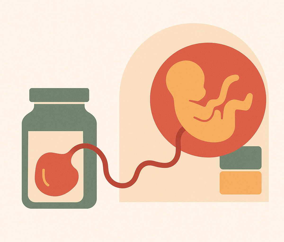 Cover illustration for “Placenta Banking for Autologous vs Allogeneic Use”
