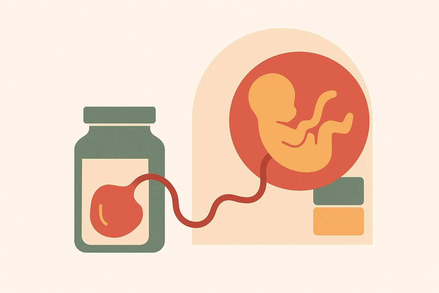 Cover illustration for “Placenta Banking for Autologous vs Allogeneic Use”