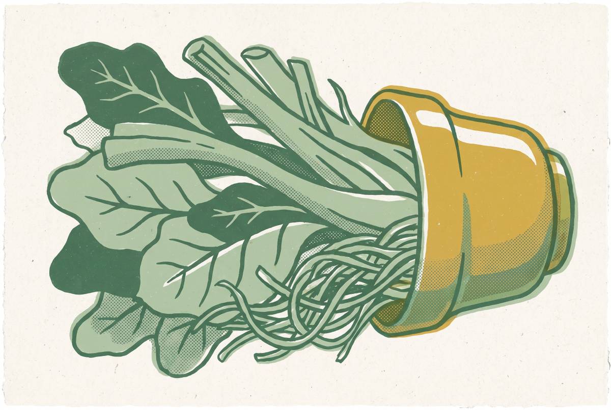 Cover illustration for “Bio-Based Materials in Product Manufacturing”