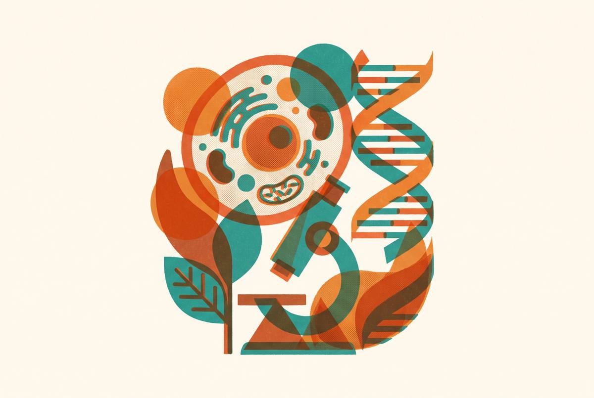Cover illustration for “AP Biology Practice Problems and Concept Mastery”