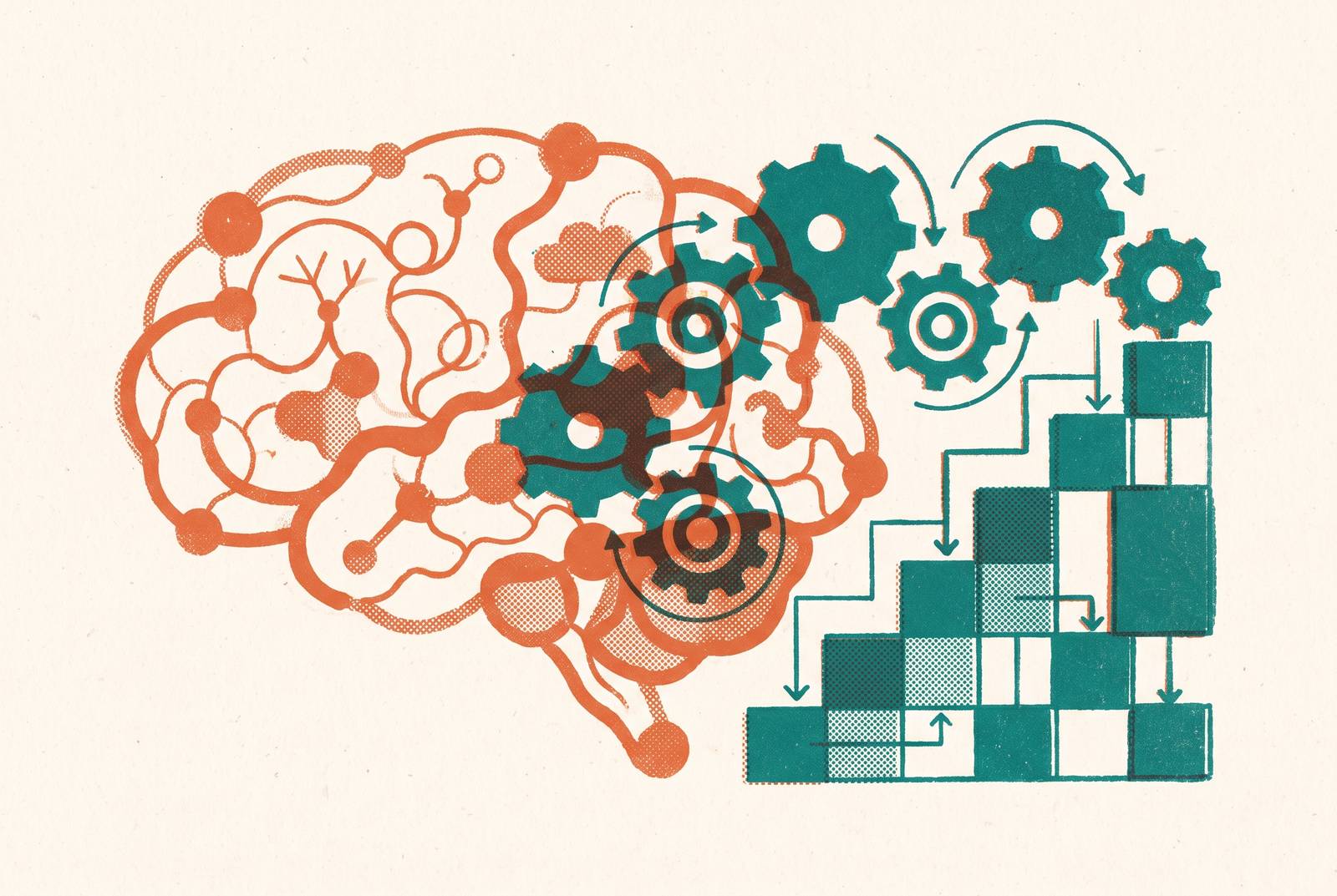 Cover illustration for “Conceptual Understanding vs Procedural Fluency in Math Instruction”