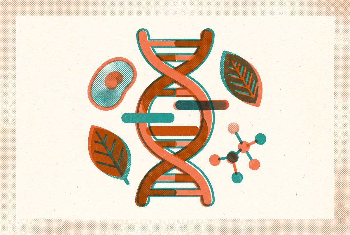 Cover illustration for “How to Build an AP Bio Study Plan Around Your Actual Gaps”