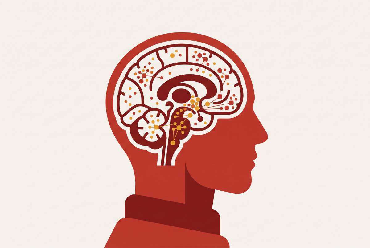Cover illustration for “GLP-1 Receptor Distribution in the Human Brain”