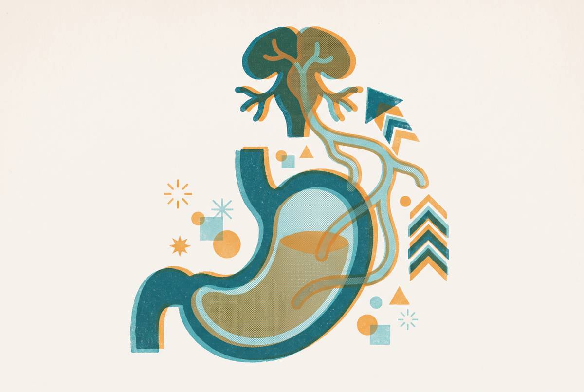 Cover illustration for “Mechanisms of GLP-1 Induced Nausea and Vomiting”