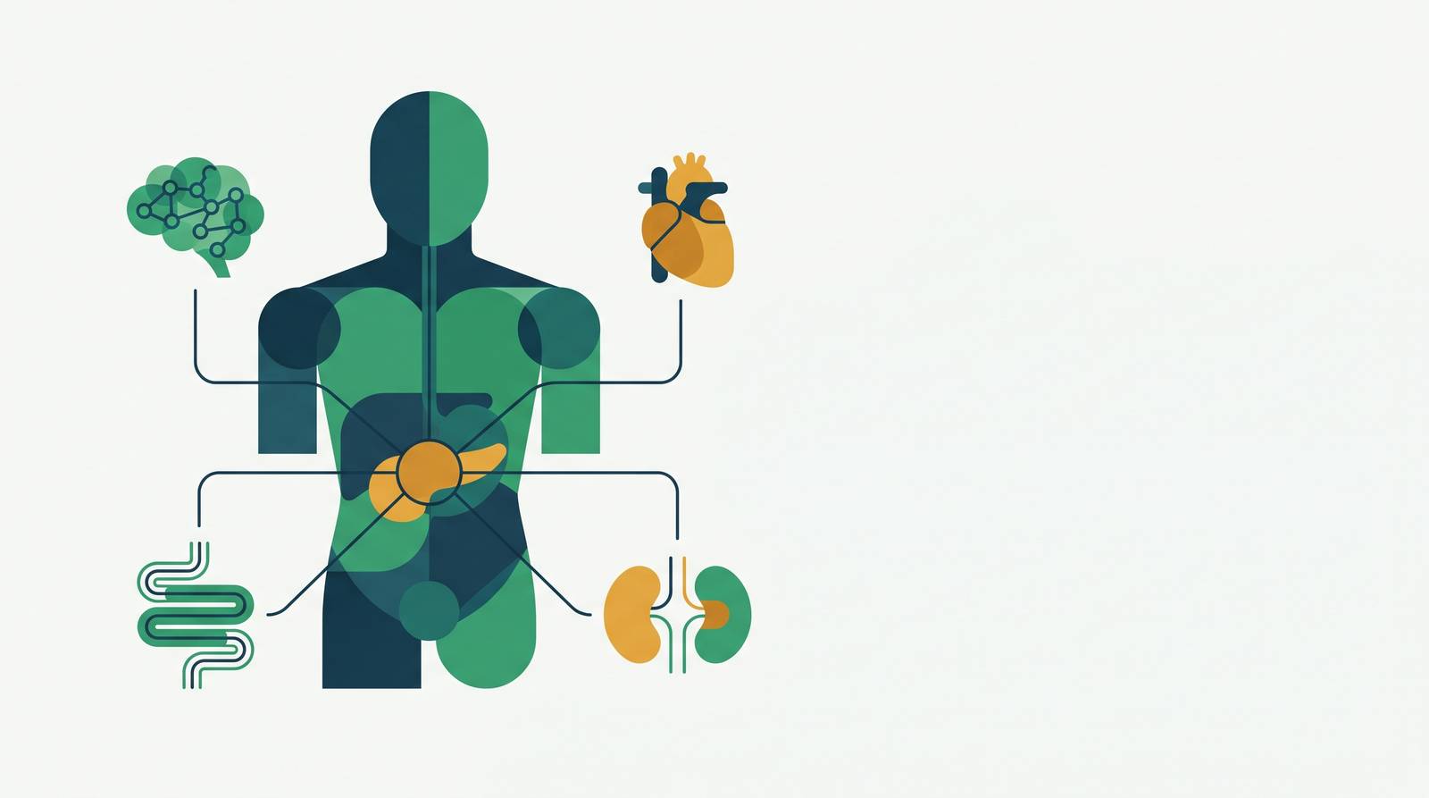 Cover illustration for “GLP-1 Physiology Beyond the Pancreas”