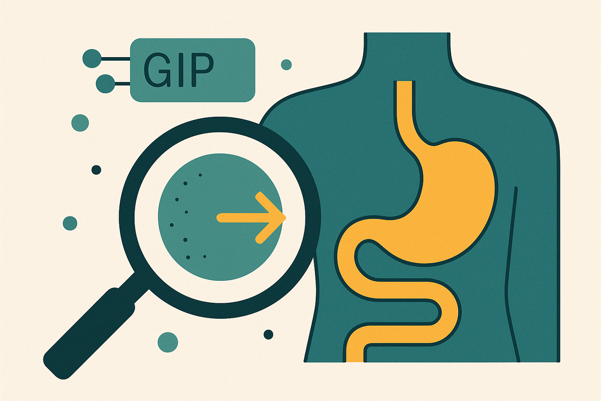 Cover illustration for “GIP Mechanism of Action in Weight Loss”