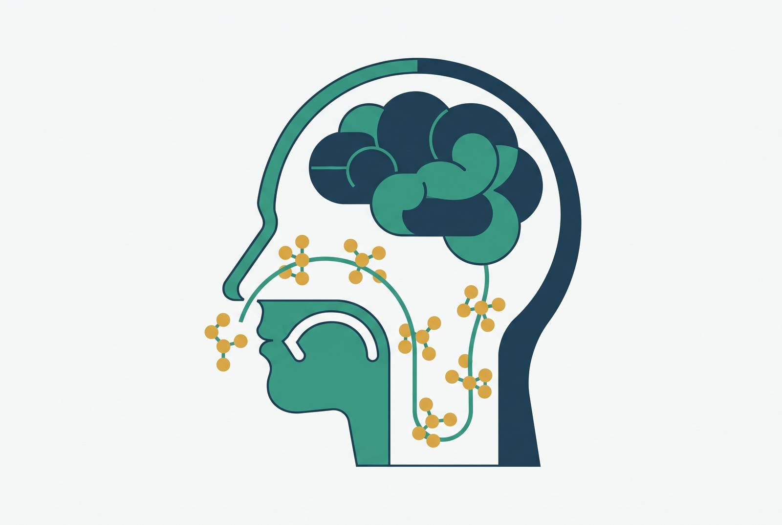 Cover illustration for “Nose-to-Brain Delivery for Large-Molecule Biologics”