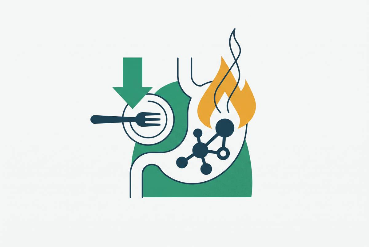 Cover illustration for “Does Tirzepatide Suppress Appetite or Burn Fat Directly”