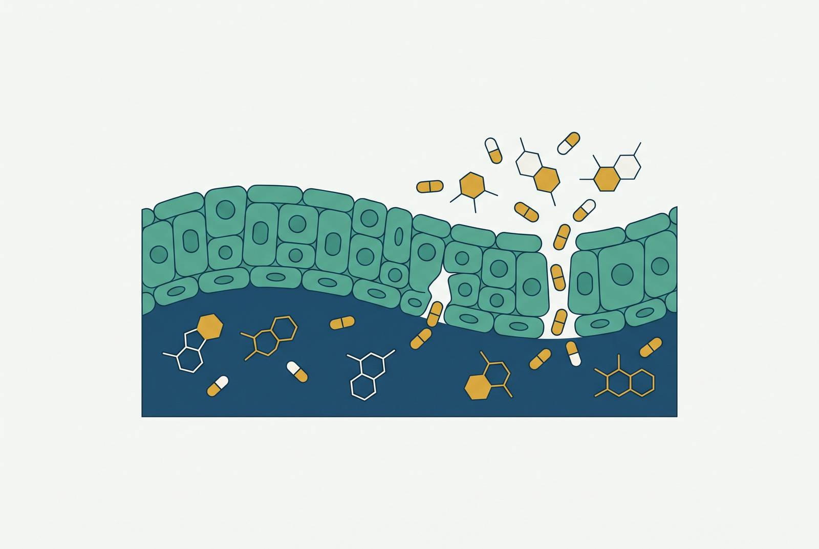 Cover illustration for “Drugs That Can Cross the Blood-Brain Barrier”