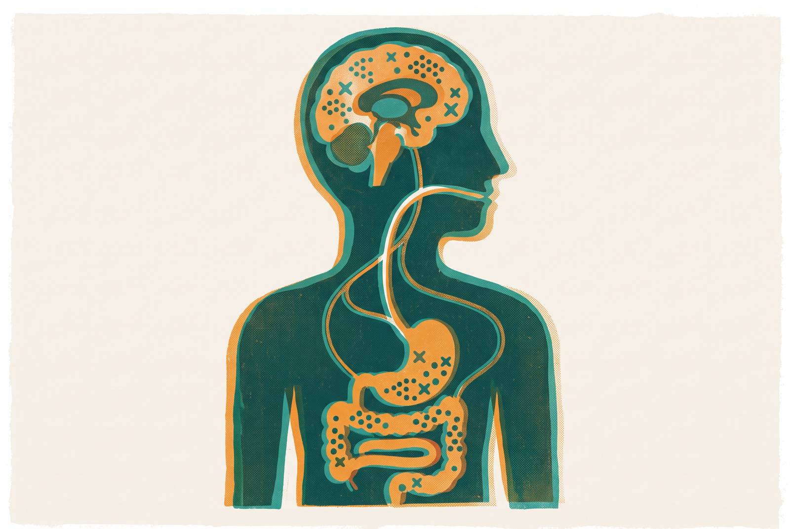 Cover illustration for “GLP-1 Receptor Distribution in the Brain and Gut”
