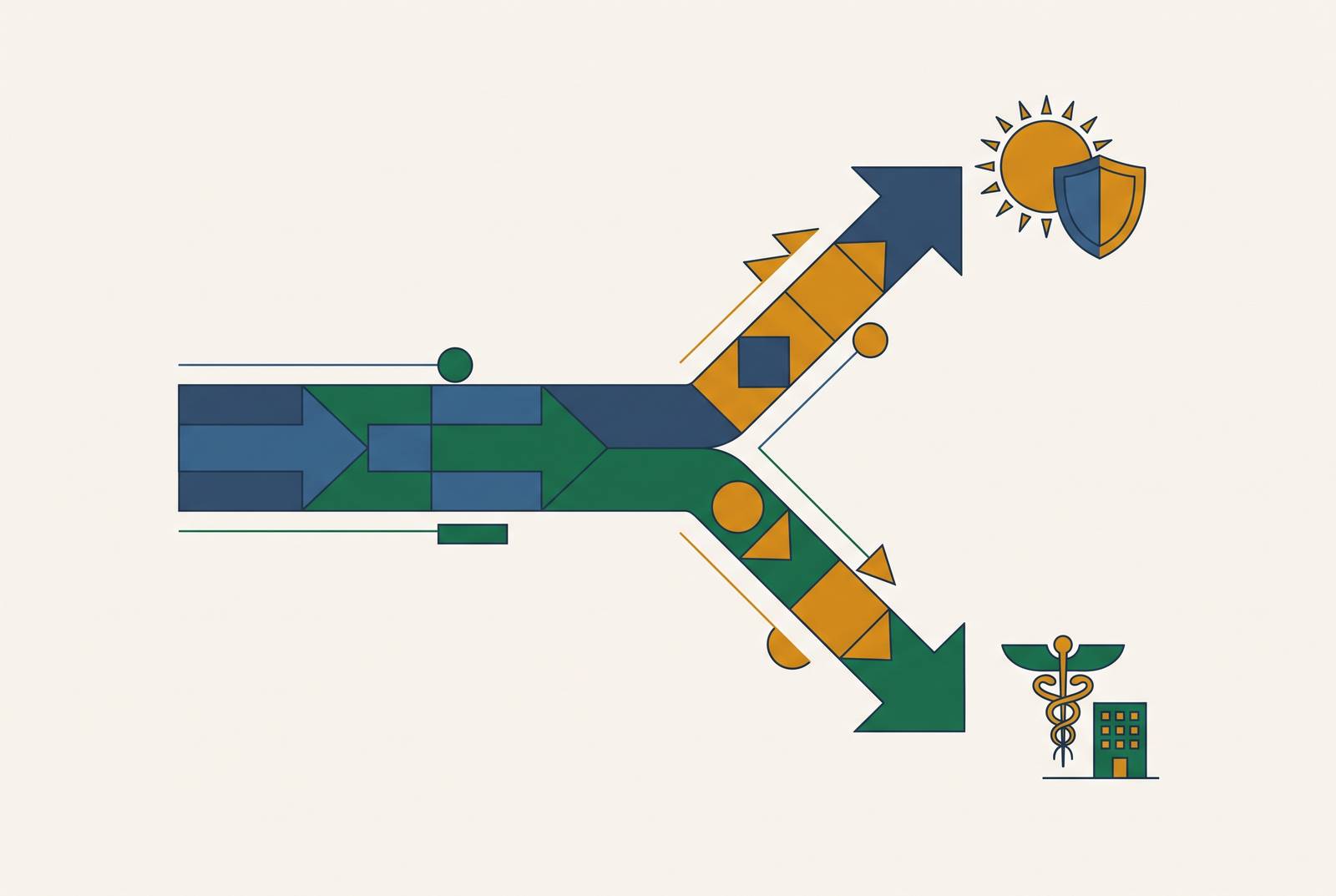 Cover illustration for “Medicare Advantage Plan Policy Divergence from Traditional Medicare”
