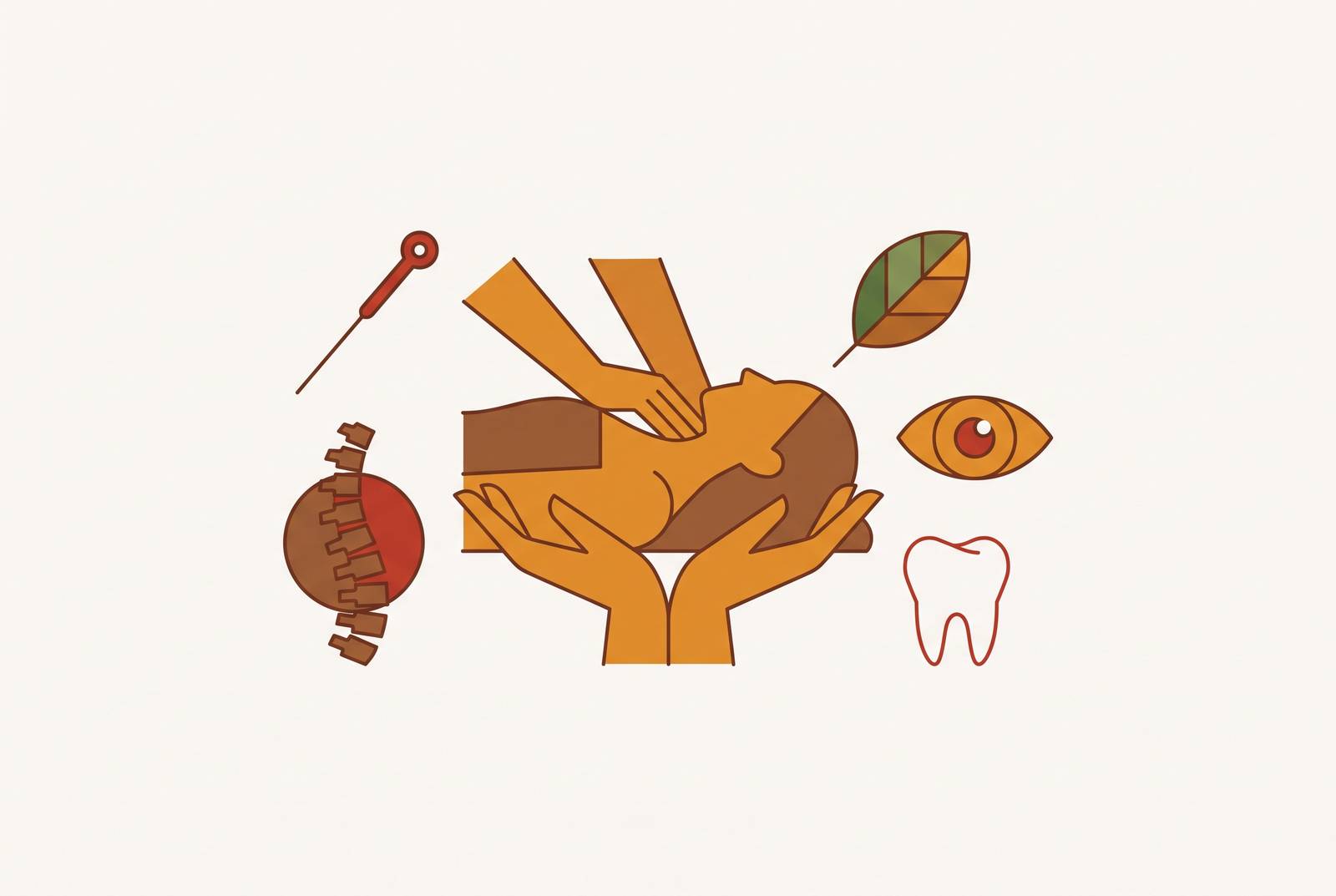 Cover illustration for “Paramedical Services Eligible Under a Canadian HSA”