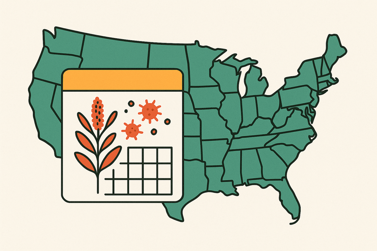 Cover illustration for “Regional Pollen Season Calendars Across the United States”