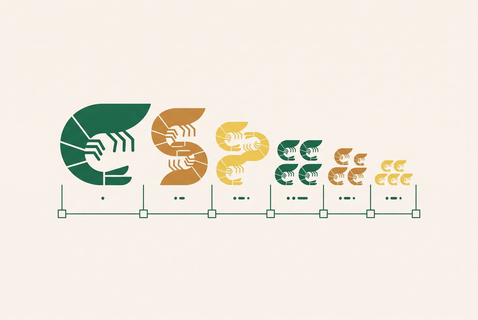 Cover illustration for “Size Count Nomenclature for Shrimp Across Major Markets”