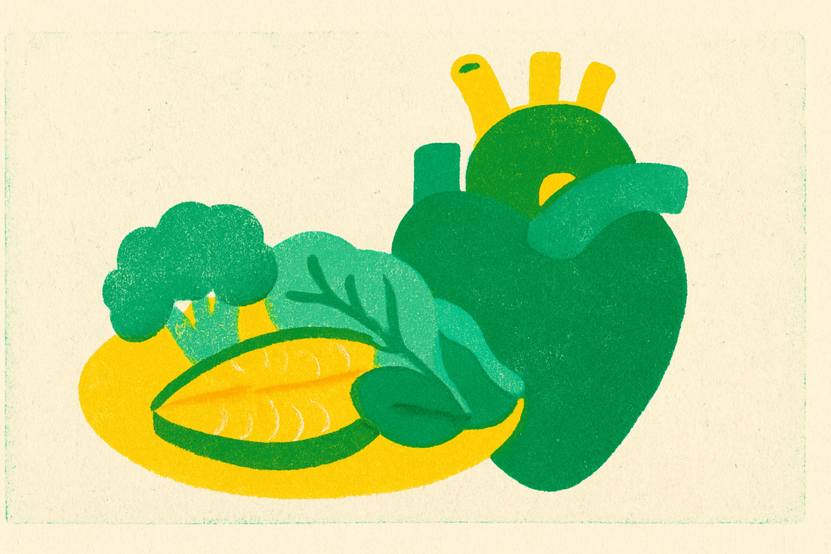 Cover illustration for “DASH Diet Meal Plan for High Blood Pressure”