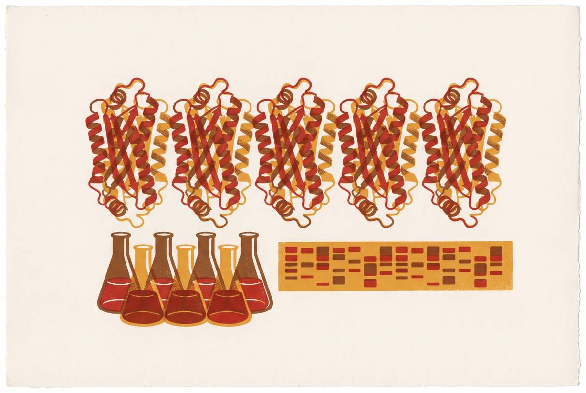 Cover illustration for “Replication Studies in Protein Expression Research”