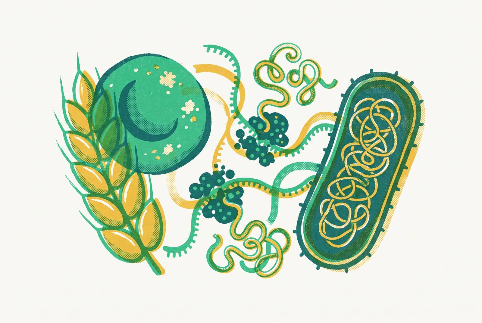 Cover illustration for “Wheat Germ and Rabbit Reticulocyte Systems vs. Bacterial CFPS”