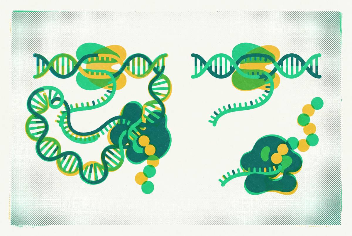 Cover illustration for “Coupled vs. Uncoupled Transcription-Translation in CFPS”