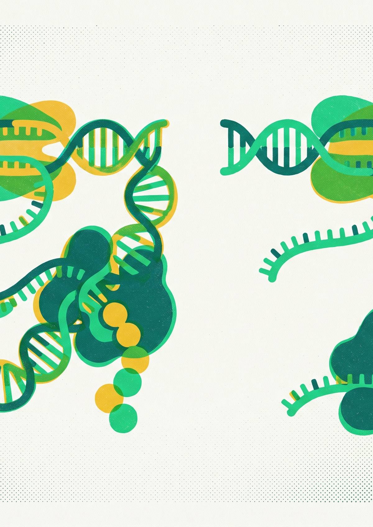 Cover illustration for “Coupled vs. Uncoupled Transcription-Translation in CFPS”