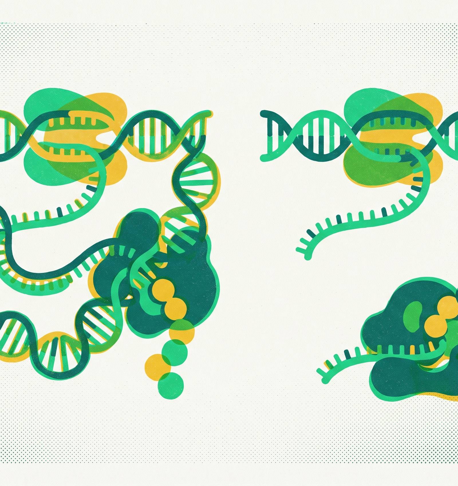 Cover illustration for “Coupled vs. Uncoupled Transcription-Translation in CFPS”