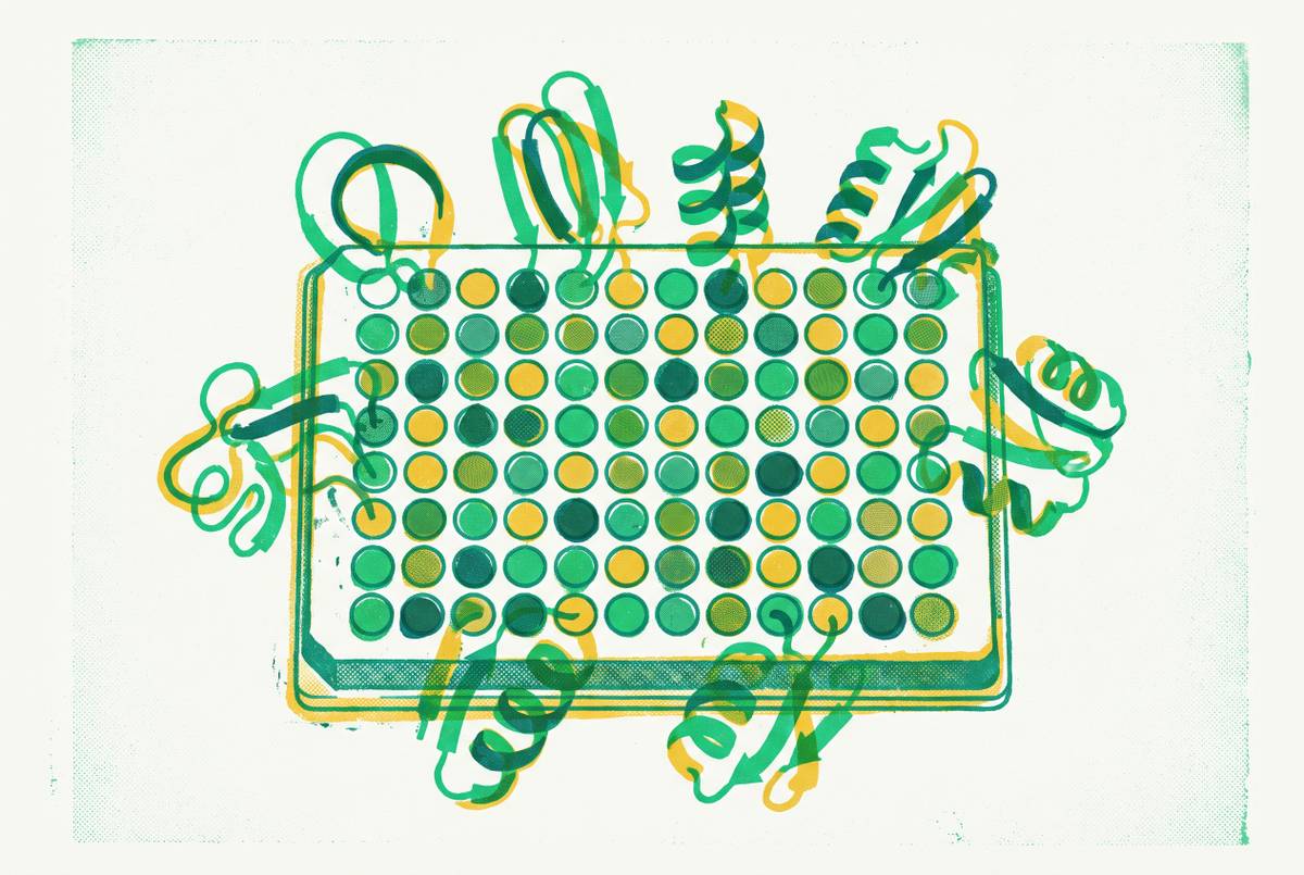 Cover illustration for “96-Well Plate CFPS Workflows for Protein Variant Libraries”