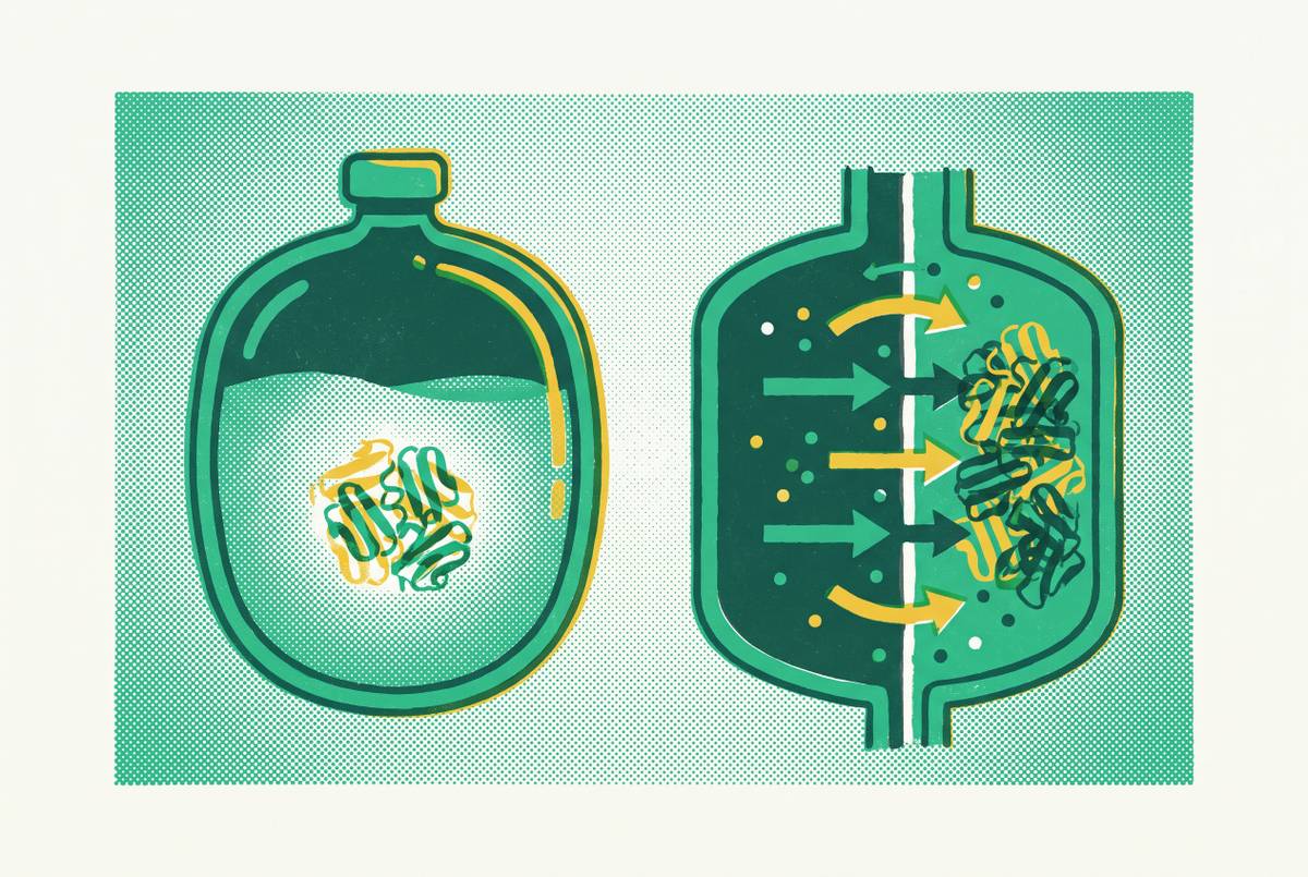 Cover illustration for “Batch vs. Continuous Exchange CFPS for Milligram Protein Yields”