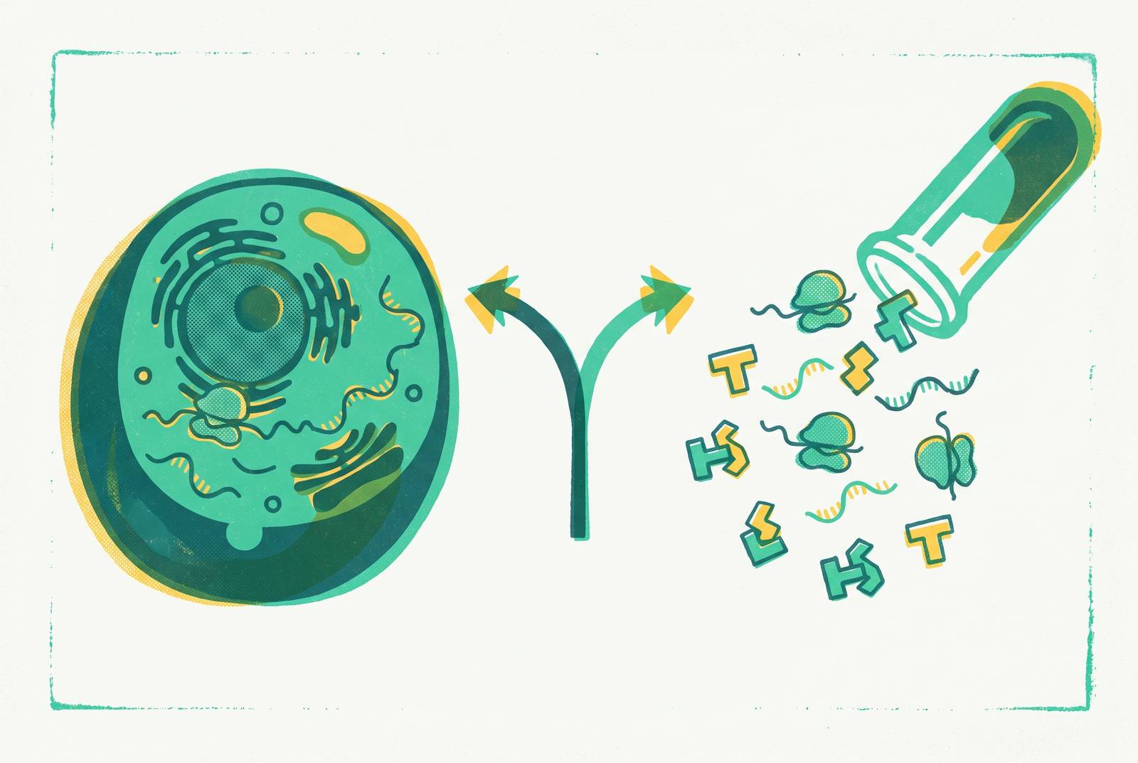 Cover illustration for “Cell-Free vs. Cell-Based Protein Expression Decision Framework”