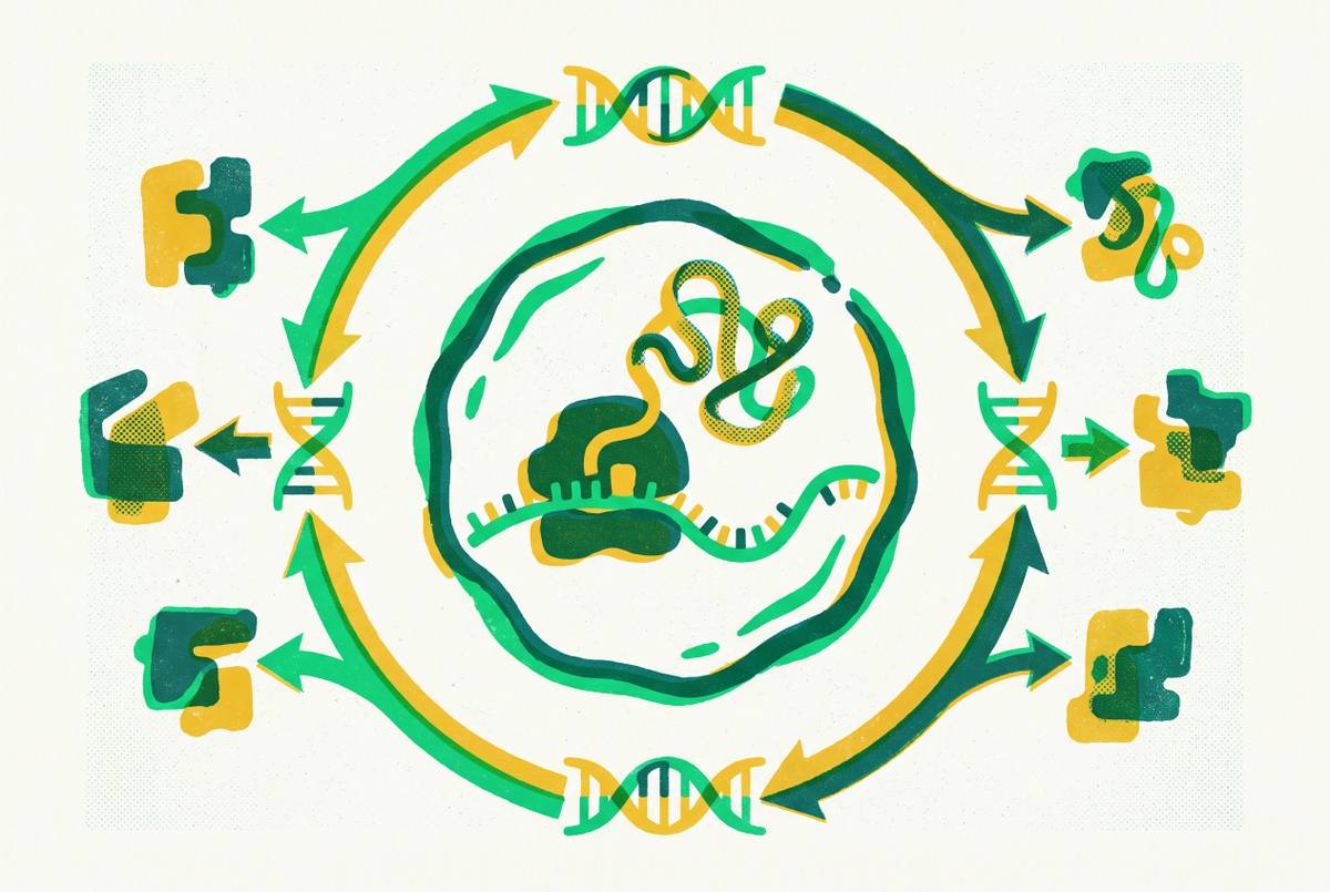 Cover illustration for “CFPS Integration With Directed Evolution Platforms”
