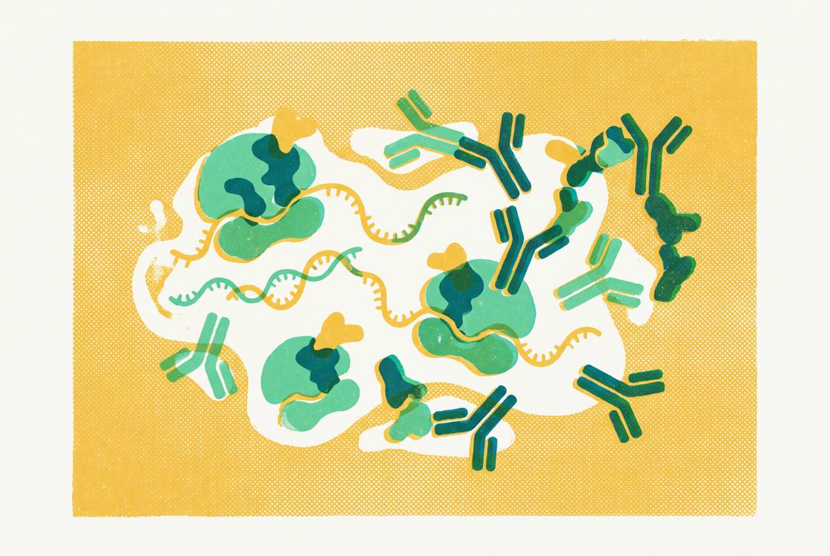 Cover illustration for “Cell-Free Expression for Antibody Fragment and Nanobody Production”