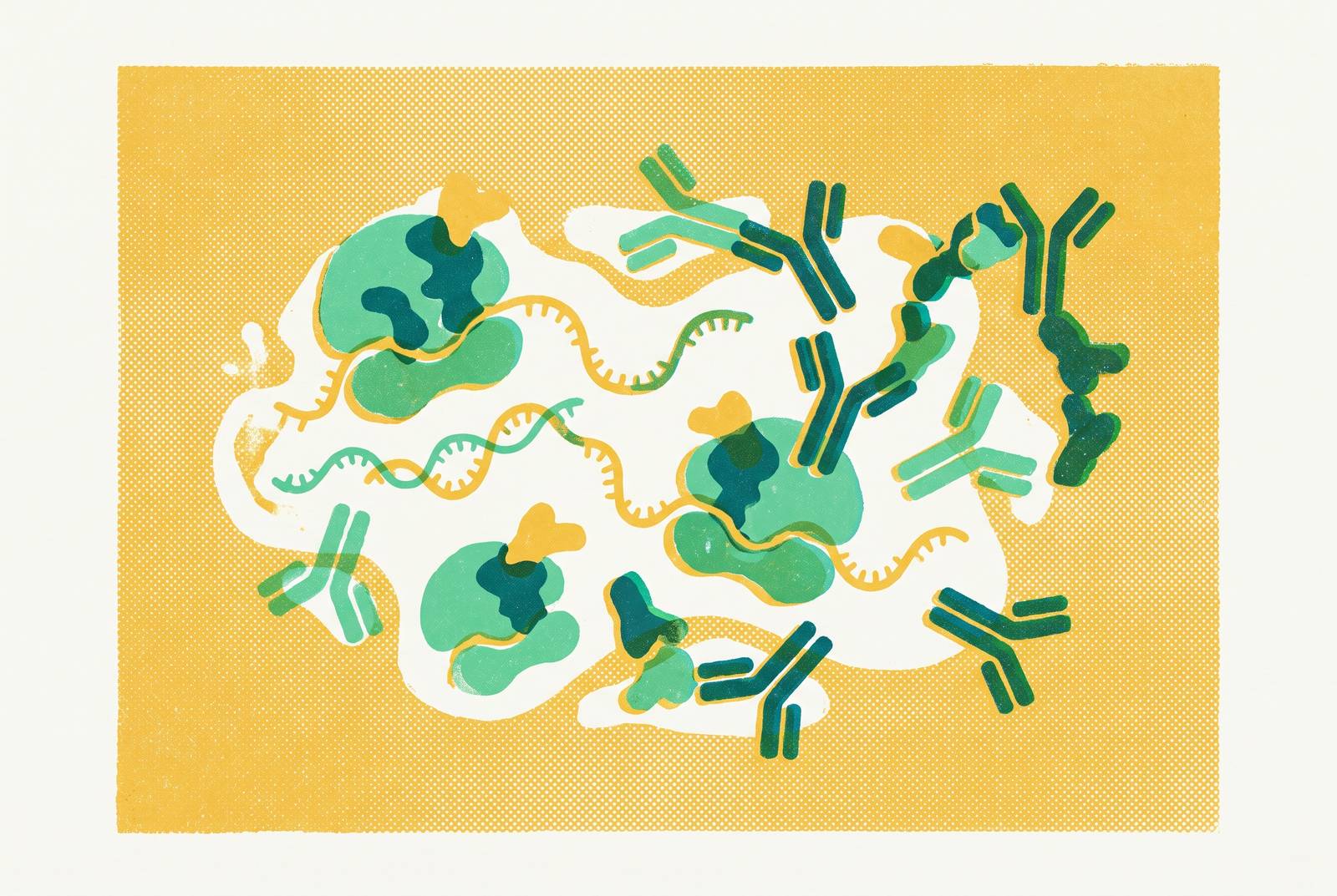 Cover illustration for “Cell-Free Expression for Antibody Fragment and Nanobody Production”