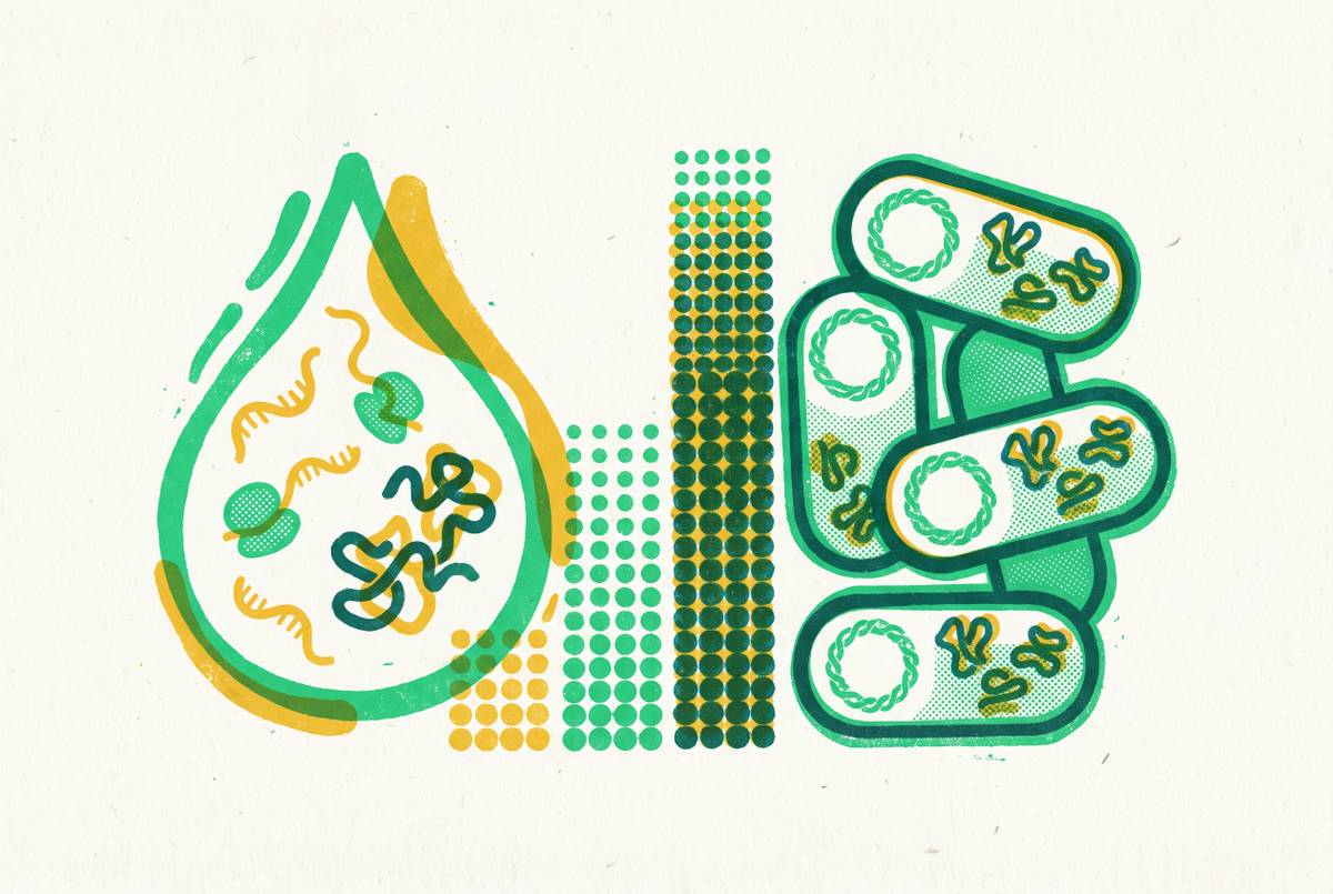 Cover illustration for “Yield Benchmarking for Cell-Free vs. E. Coli Recombinant Expression”