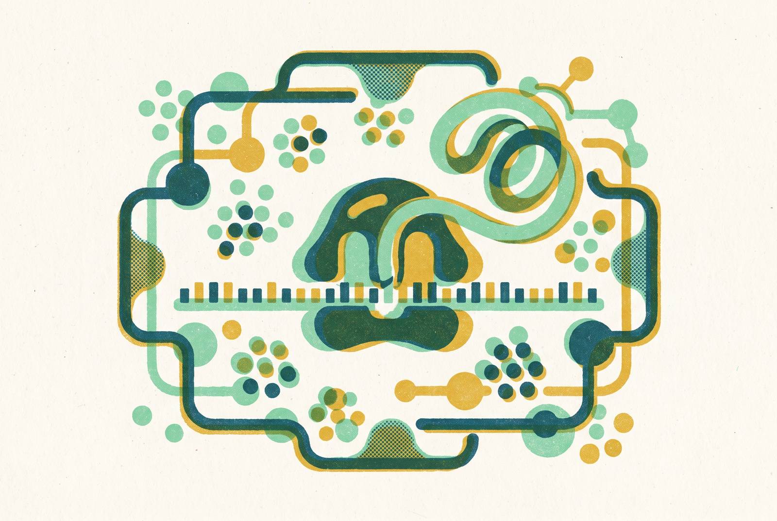 Cover illustration for “Magnesium and Potassium Optimization in CFPS Reactions”