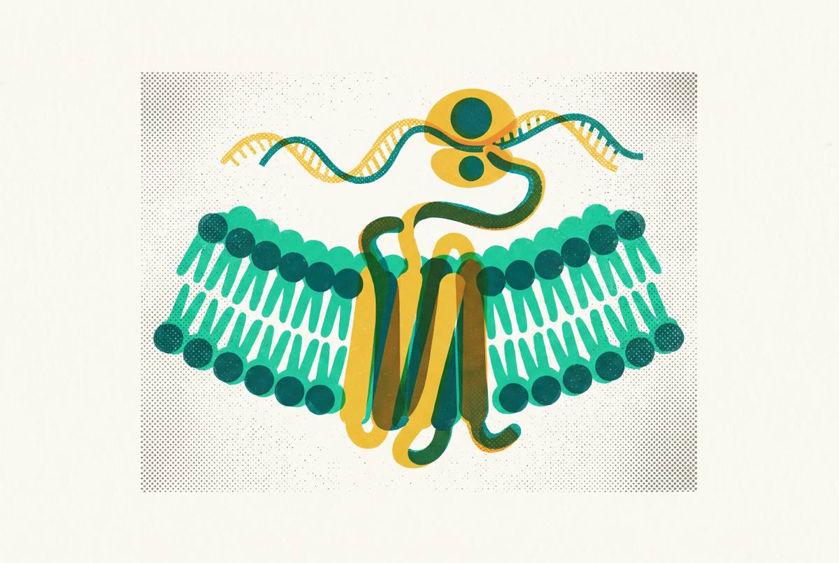 Cover illustration for “Membrane Protein Expression in Cell-Free Systems”